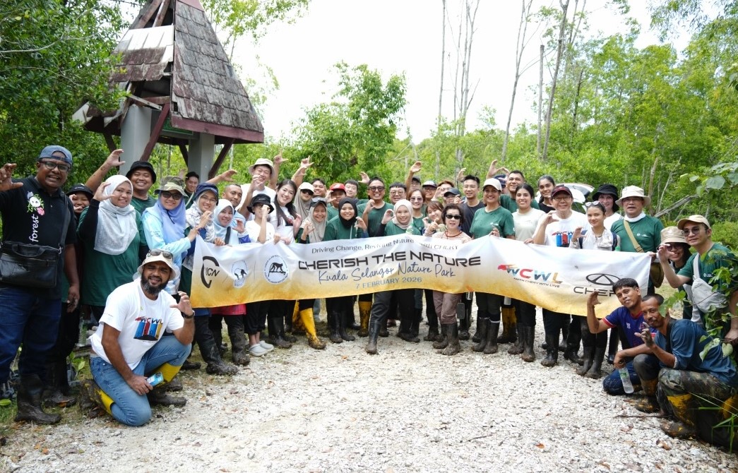 奇瑞集团2月份销售汽车16.1万辆       